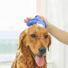 Person using silicone grooming glove on dog during bath